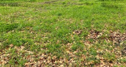 Biganos Maison neuve - 2203723-11279annonce120250624E6XoD.jpeg Maisons France Confort