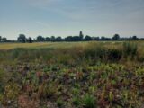 Maison à construire à Houssen (68125) 2203916-5767annonce120250625XQlAI.jpeg Maisons France Confort