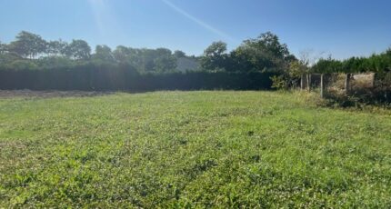 Villefranche-de-Lauragais Maison neuve - 2202565-11450annonce320250624fS0EU.jpeg Maisons France Confort