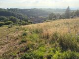 Terrain à bâtir à Grammond (42140) 2204031-11317annonce120250625J6HKM.jpeg Maisons France Confort