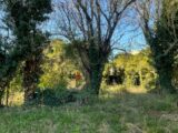 Maison à construire à Auriol (13390) 2204465-10271annonce1202506250pTv6.jpeg Maisons France Confort