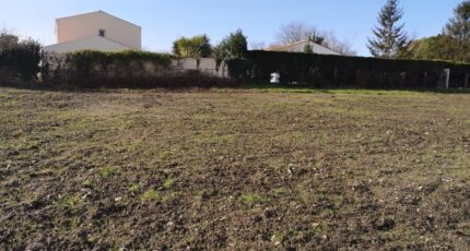 Médis Terrain à bâtir - 2204777-11221annonce120250409vqU84.jpeg Maisons France Confort