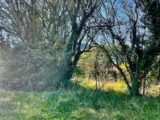 Terrain à bâtir à Auriol (13390) 2204969-10271annonce320250625Zkt6e.jpeg Maisons France Confort