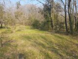 Maison à construire à Mouans-Sartoux (06370) 2201139-10870annonce120250203gaGWk.jpeg Maisons France Confort