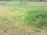 Terrain à bâtir à Coligny (01270) 2205023-754annonce220250625MMOED.jpeg Maisons France Confort