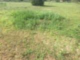 Maison à construire à Coligny (01270) 2205029-754annonce120250625foDOI.jpeg Maisons France Confort