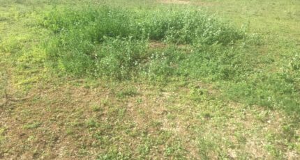 Coligny Maison neuve - 2205029-754annonce120250625foDOI.jpeg Maisons France Confort