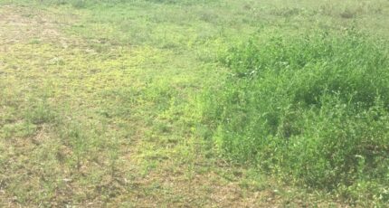 Coligny Maison neuve - 2205029-754annonce220250625MMOED.jpeg Maisons France Confort
