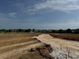 Maison à construire à Teyran (34820) 2205086-11455annonce1202506251ST0U.jpeg Maisons France Confort