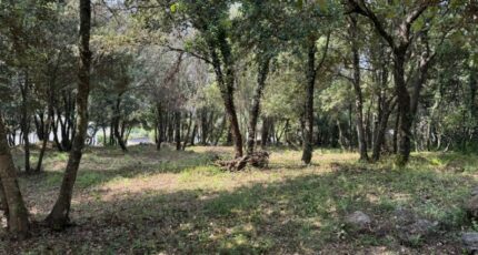 Biot Terrain à bâtir - 2205260-9270annonce220250626SFu2K.jpeg Maisons France Confort