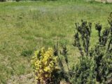 Maison à construire à Elne (66200) 2205250-4671annonce120250626rVOLF.jpeg Maisons France Confort