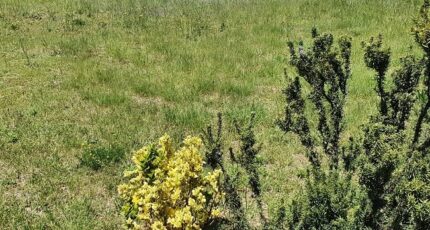 Elne Maison neuve - 2205250-4671annonce120250626rVOLF.jpeg Maisons France Confort