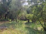Maison à construire à Tourrette-Levens (06690) 2205412-1836annonce220250626RVXId.jpeg Maisons France Confort