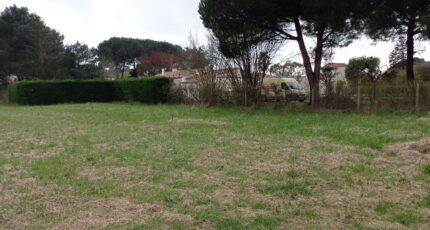 Saint-Augustin Terrain à bâtir - 2205114-1055annonce120250625CyUiC.jpeg Maisons France Confort