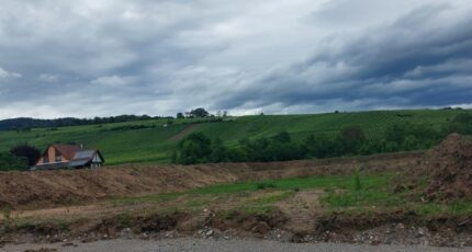 Riquewihr Terrain à bâtir - 2205165-5767annonce120250626Mg1Jz.jpeg Maisons France Confort