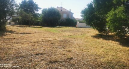 Aubagne Maison neuve - 2162776-10271annonce220250519LvLtQ.jpeg Maisons France Confort