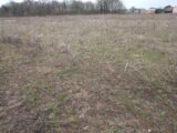 Maison à construire à Évry-Grégy-sur-Yerre (77166) 2203098-10730annonce120250624BkK4g.jpeg Maisons France Confort