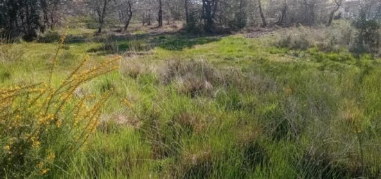 Terrain à bâtir à Audenge, Nouvelle-Aquitaine