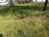 Terrain à bâtir à Audenge (33980) 2205718-11244annonce220250626vTIWC.jpeg Maisons France Confort