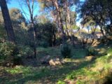 Terrain à bâtir à Martigues (13500) 2205820-7060annonce120250626OeJpQ.jpeg Maisons France Confort