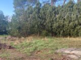 Maison à construire à Pierrefeu-du-Var (83390) 2205909-9599annonce120250624qgUWV.jpeg Maisons France Confort
