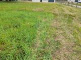 Maison à construire à Nieul (87510) 2206039-3291annonce1202506266nSOh.jpeg Maisons France Confort