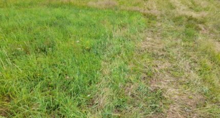 Nieul Terrain à bâtir - 2206024-3291annonce120250626TFGPv.jpeg Maisons France Confort