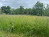 Terrain à bâtir à Reignac (33860) 2205920-11516annonce220250626Kr7Qu.jpeg Maisons France Confort