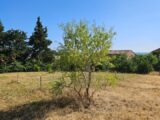 Maison à construire à Pertuis (84120) 2206272-2970annonce120250626aS4kr.jpeg Maisons France Confort