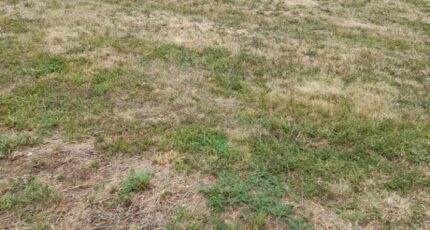 Saint-Gence Terrain à bâtir - 2206377-3291annonce120250626UFQbt.jpeg Maisons France Confort