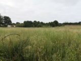 Terrain à bâtir à Royan (17200) 2206938-11221annonce220250627ccp93.jpeg Maisons France Confort