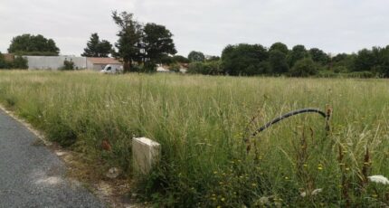 Royan Terrain à bâtir - 2206938-11221annonce4202506279Ll0a.jpeg Maisons France Confort