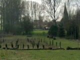 Terrain à bâtir à Boiry-Becquerelle (62128) 2206827-6159annonce220250627aTHhq.jpeg Maisons France Confort