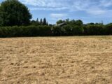 Terrain à bâtir à Ancinnes (72610) 2205770-3704annonce120250626C95lX.jpeg Maisons France Confort