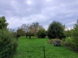 Maison à construire à Saint-Germain-du-Puch (33750) 2207418-11293annonce220250627CkCCX.jpeg Maisons France Confort