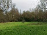 Terrain à bâtir à Saint-Hilaire (31410) 2206156-6043annonce420250626cTfcu.jpeg Maisons France Confort