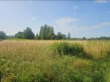 Maison à construire à Camiran (33190) 2207844-11284annonce12025062788Z3K.jpeg Maisons France Confort