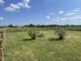 Maison à construire à Mombrier (33710) 2207543-11252annonce120250627PmM1d.jpeg Maisons France Confort