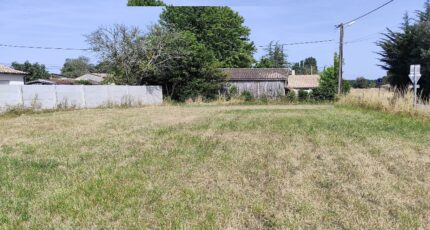 Gaillan-en-Médoc Maison neuve - 2206603-11260annonce120250627MKvh5.jpeg Maisons France Confort