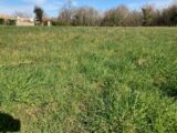 Terrain à bâtir à Saintes (17100) 2207688-10974annonce320250627l9iJR.jpeg Maisons France Confort