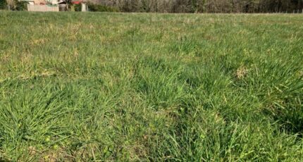 Saintes Maison neuve - 2207693-10974annonce320250627l9iJR.jpeg Maisons France Confort