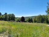 Terrain à bâtir à Saint-Priest-Taurion (87480) 2207970-10865annonce220250627JdXE2.jpeg Maisons France Confort