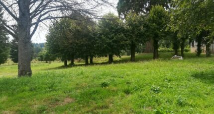Saint-Just-le-Martel Terrain à bâtir - 2207799-10865annonce320250627hlsB6.jpeg Maisons France Confort