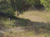 Terrain à bâtir à Toulenne (33210) 2206533-3601annonce120250627EzbaM.jpeg Maisons France Confort