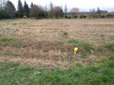 Terrain à bâtir à Voulangis (77580) 2207971-10730annonce320250627Dokhx.jpeg Maisons France Confort