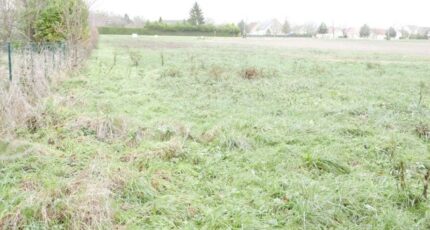 Warmeriville Terrain à bâtir - 2207668-11223annonce120250226uFXfM.jpeg Maisons France Confort