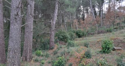 La Destrousse Maison neuve - 2208356-11041annonce320250629V5685.jpeg Maisons France Confort