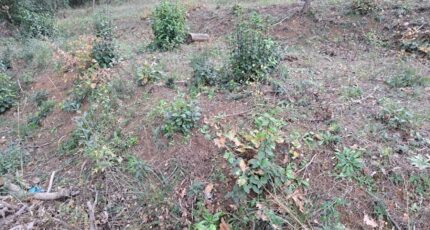 La Destrousse Maison neuve - 2208356-11041annonce420250629hBcCQ.jpeg Maisons France Confort