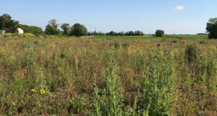 Grézac Terrain à bâtir - 2207823-11452annonce22025062711dlm.jpeg Maisons France Confort