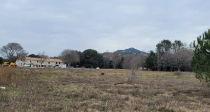 Bollène Terrain à bâtir - 2208583-812annonce120241105XznXt.jpeg Maisons France Confort